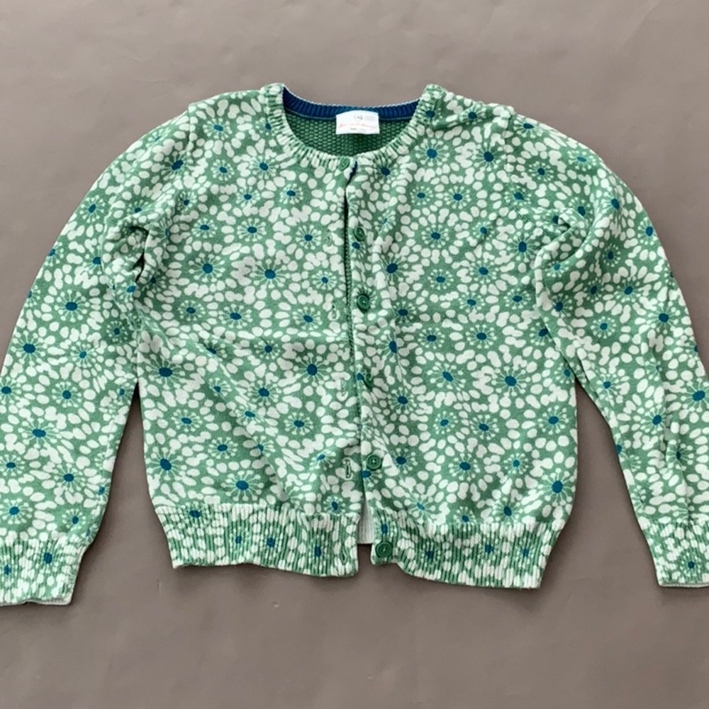 Hanna Andersson sweater